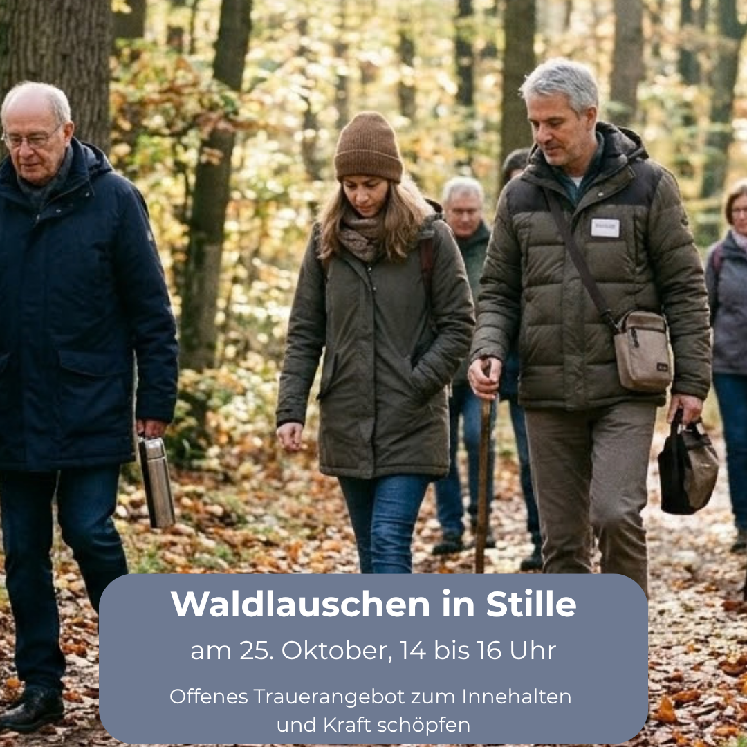 Waldlauschen in Stille