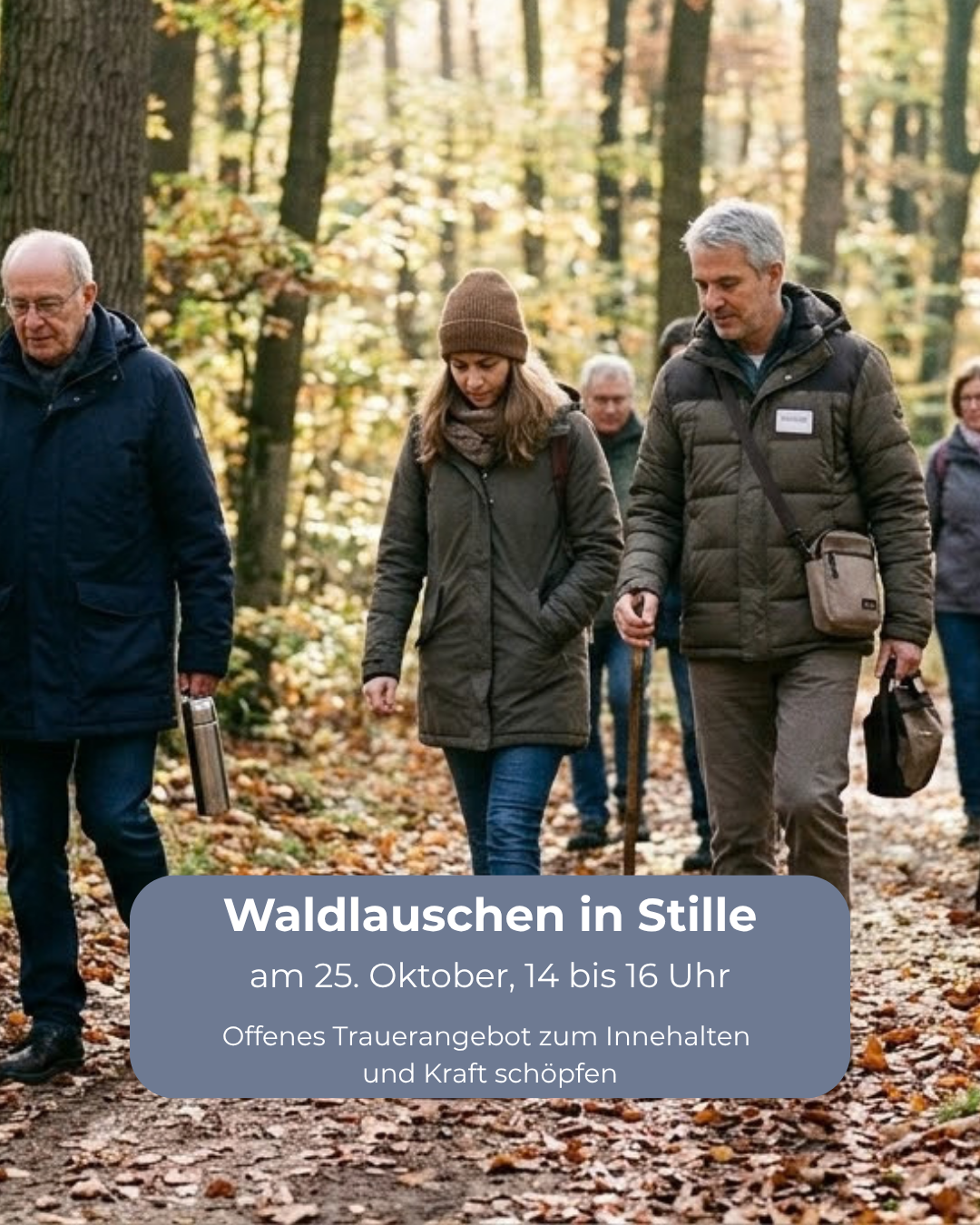 Waldlauschen in Stille
